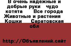 В очень надежные и добрые руки - чудо - котята!!! - Все города Животные и растения » Кошки   . Саратовская обл.